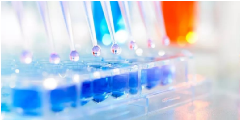 如何选择生物相容性测试项目？